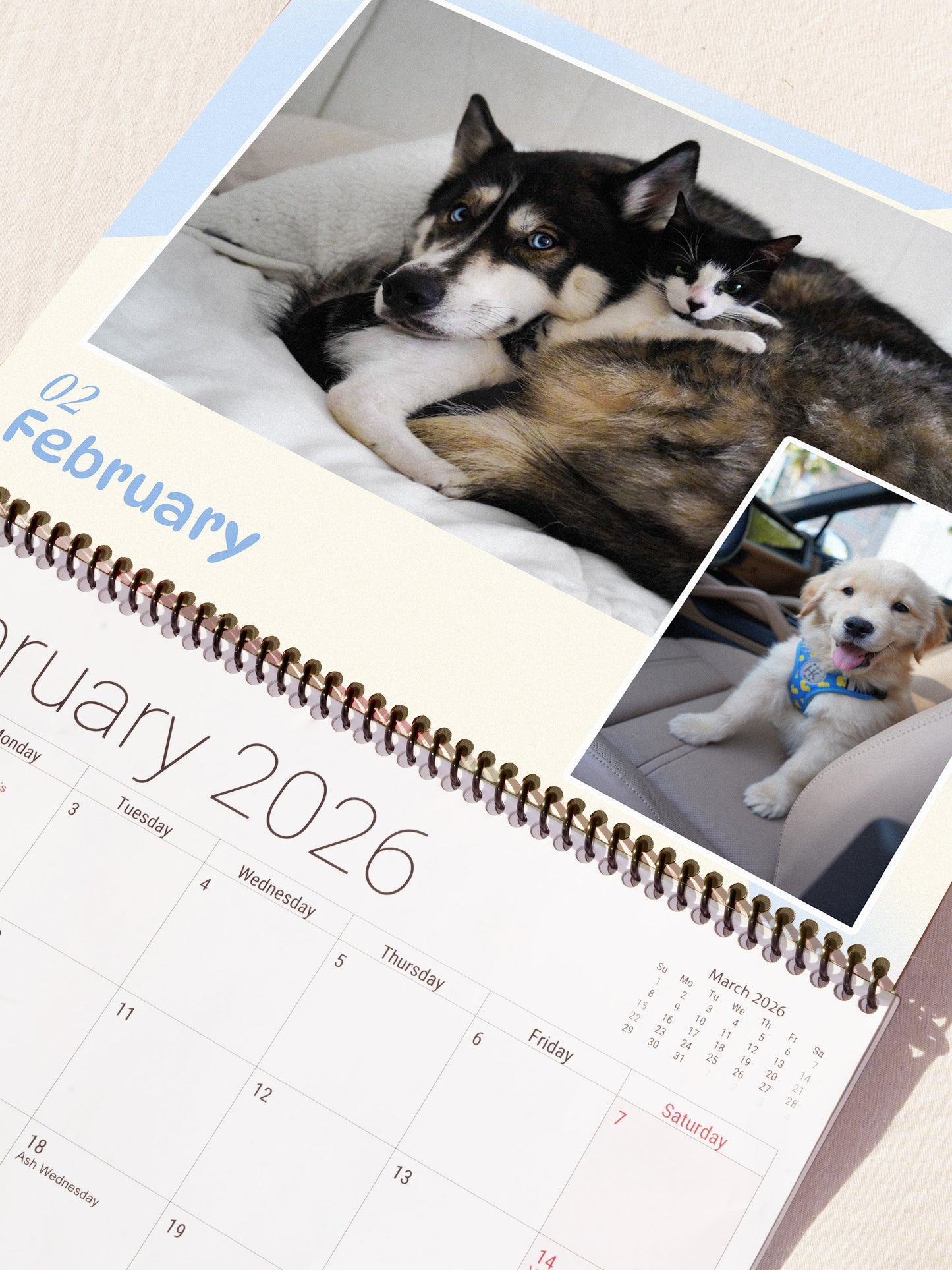 The Moriarty Family Calendar